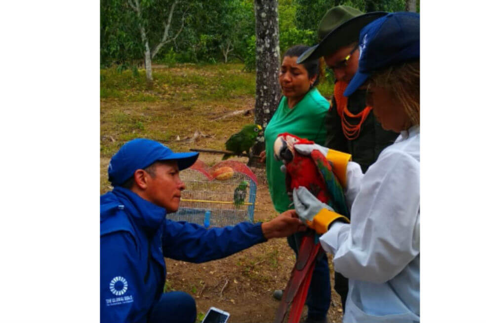 En imágenes: rescatan animales de tráfico de fauna silvestre en municipios de Cundinamarca