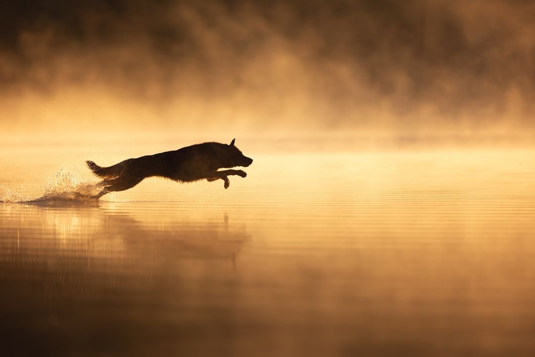 “Explosión de energía”, así se titula la foto que ganó el segundo lugar en la categoría de Acción. La foto fue tomada por la rusa Anastasia Vetkóvskaya.