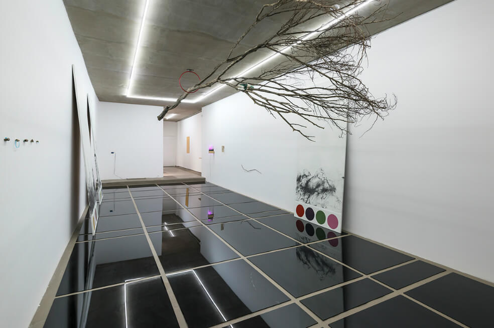 Sobre la exposición “Con un pie en la tierra”