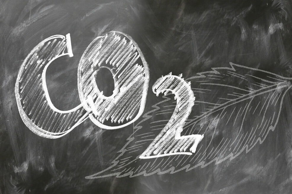 “Hacer dinero no puede ser la única motivación en un mercado de carbono”
