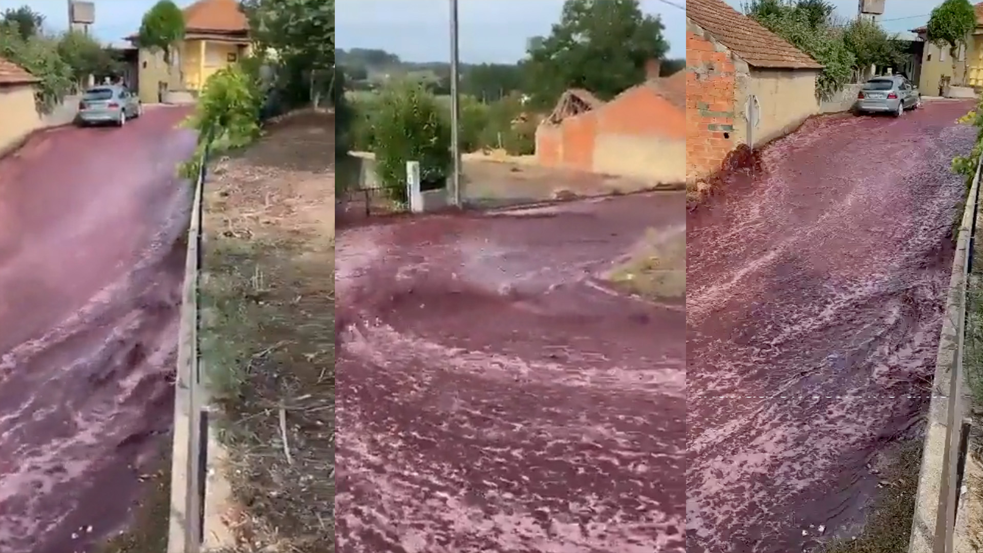 Dos tanques de vino estallaron e inundaron las calles de una ciudad en Portugal