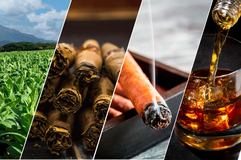 Del tabaco al ron: un viaje por el alma del norte de República Dominicana