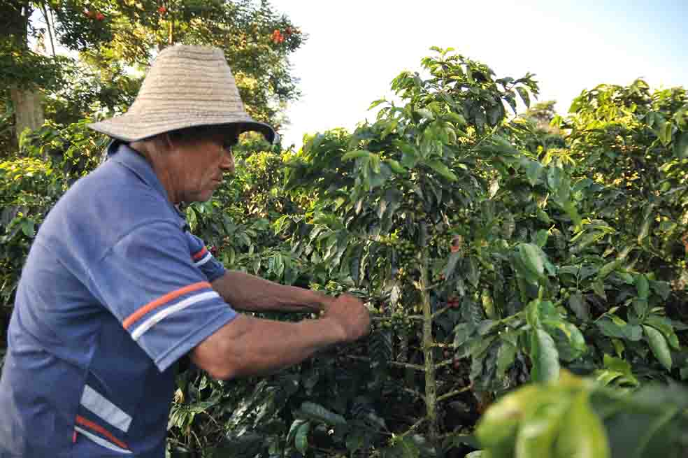 Caída libre cafetera