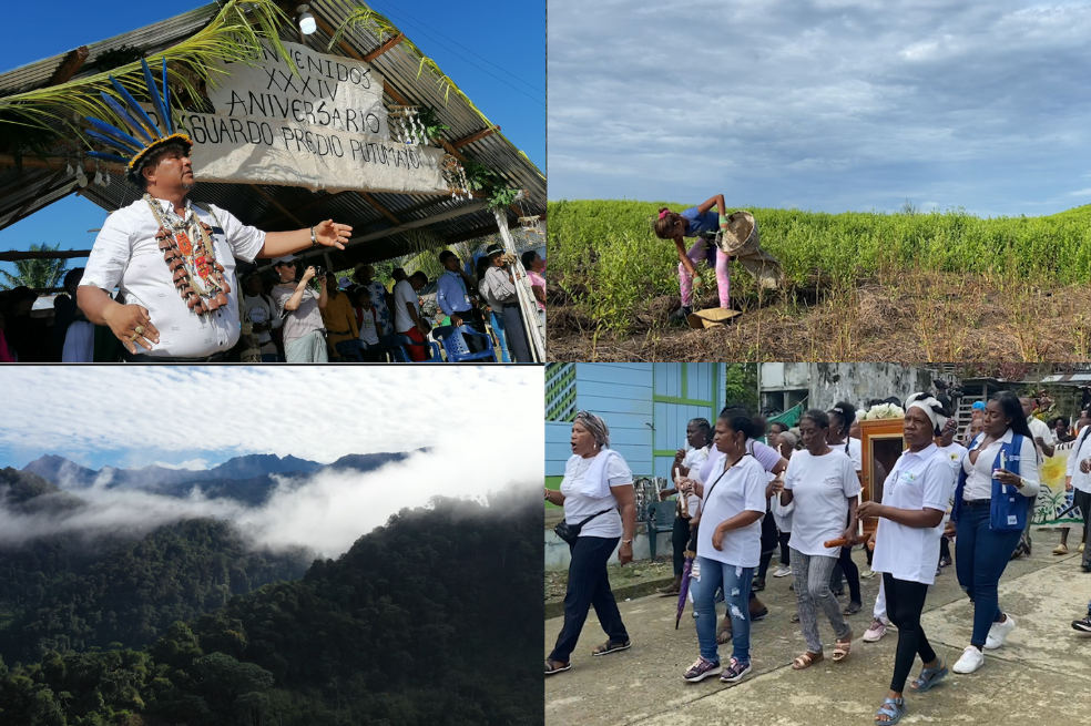 Desde el territorio, así se construyó paz en Colombia en 2022