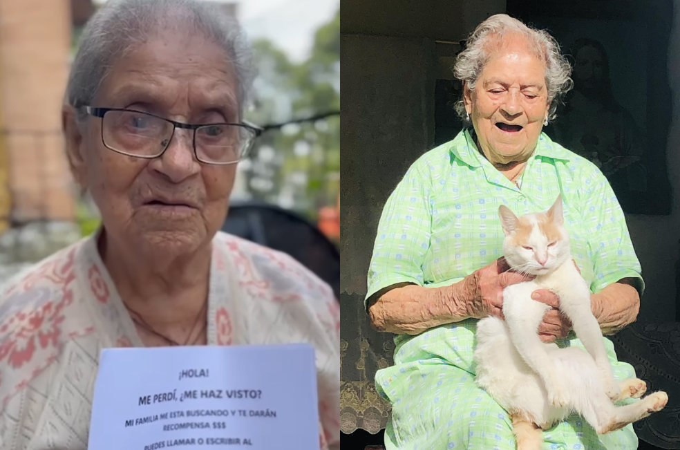 “Me está haciendo muchísima falta”: buscan al gatico de una abuelita en Medellín