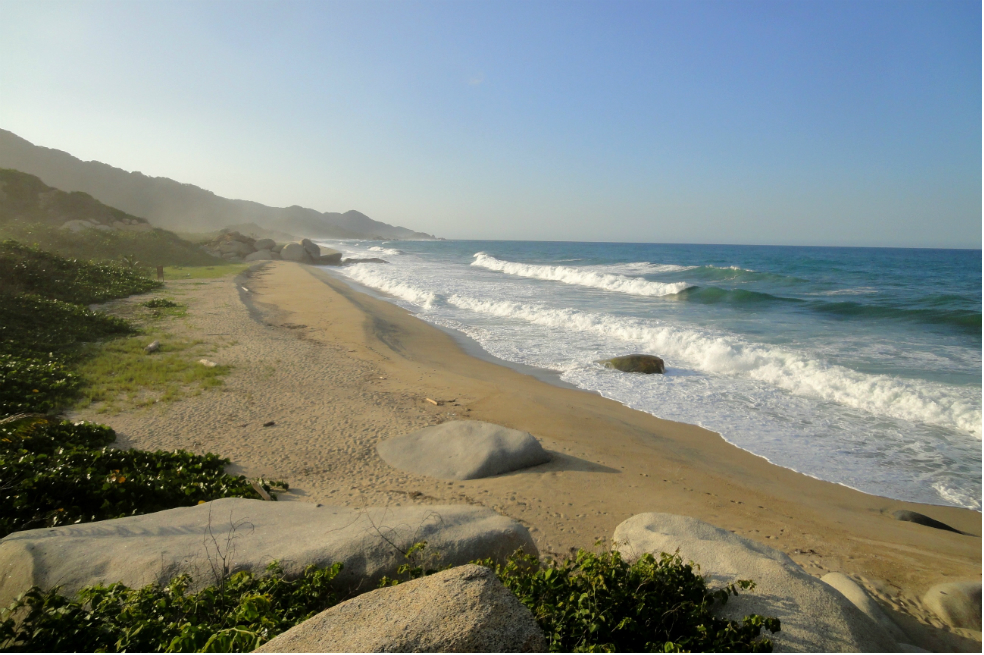 Parque Nacional Tayrona, uno de los de mayor afluencia de visitantes en ColombiaPixabayAl revisar el informe sobre el ‘Comportamiento de Visitantes en Áreas Protegidas (AP) con Vocación Ecoturística’ elaborado por la Subdirección de Sostenibilidad y Negocios Ambientales, se detalla que el posicionamiento del ecoturismo en las áreas protegidas,tanto a nivel nacional como internacional, se ha logrado gracias al programa de fortalecimiento del ecoturismo que se viene implementando desde parques Nacionales Naturales de Colombia, con el apoyo de otras instituciones, que tiene entre otras acciones: la promoción que realizan las organizaciones comunitarias operadores del ecoturismo comunitario y las Concesiones Tayrona y Gorgona para divulgar los servicios y actividades ecoturismo y turismo de naturaleza; el voz a voz de los visitantes por sus buenas experiencias en las áreas protegidas, tal como se evidencia en los resultados de las encuestas de satisfacción.
