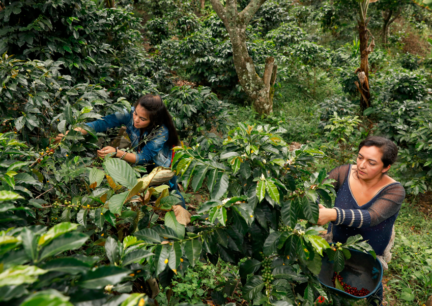 Empoderar a las mujeres rurales, una meta para Colombia