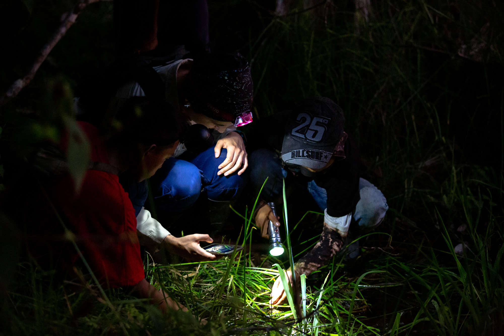 Naturalista: la poderosa red de biodiversidad de ciencia participativa