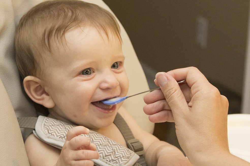 Los micronutrientes básicos en la alimentación infantil