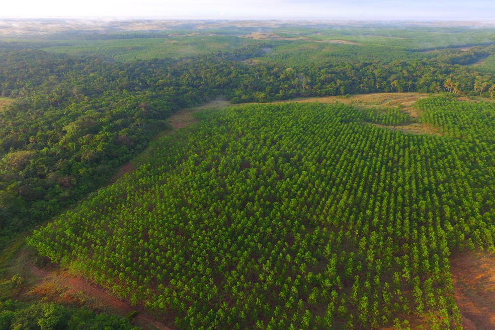 Una flota de vehículos carbono neutro rueda por Colombia