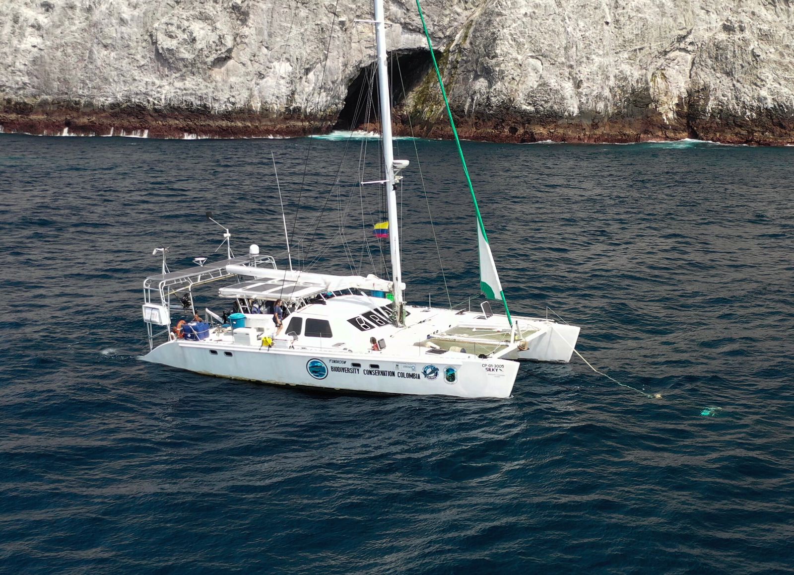 Silky guardián de Malpelo
