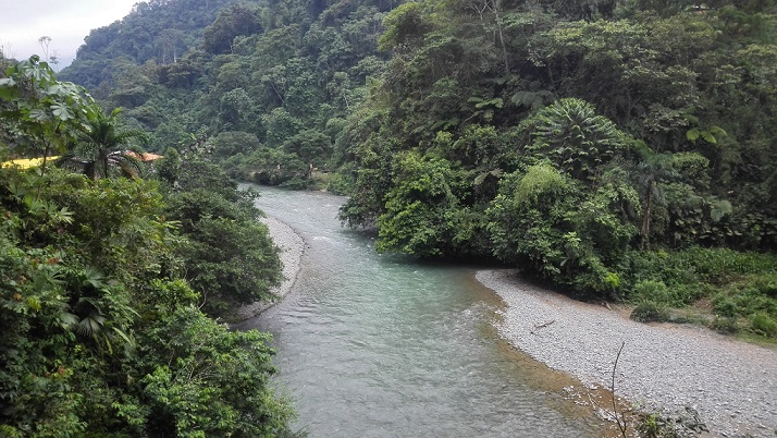 La lucha por declarar el río Anchicayá sujeto de derechos