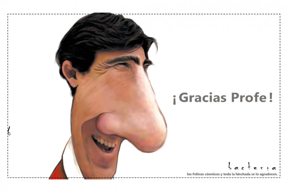 Gustavo Costas