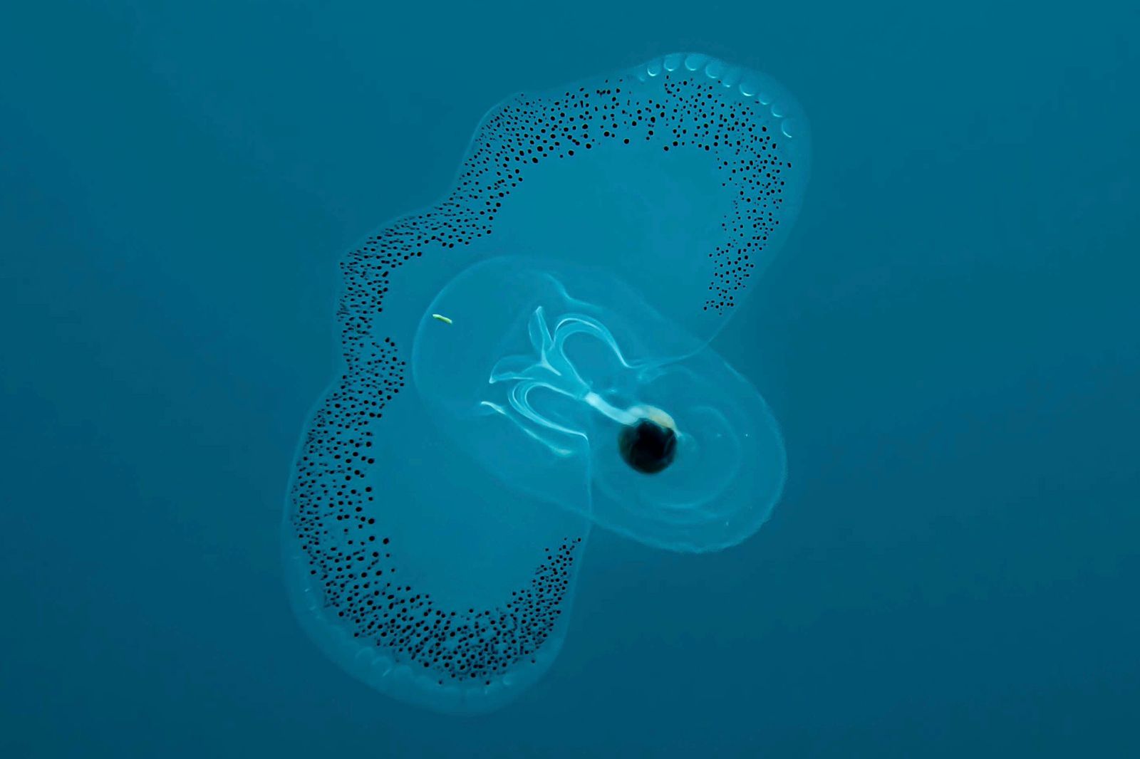 Expedición NatGeo en Colombia