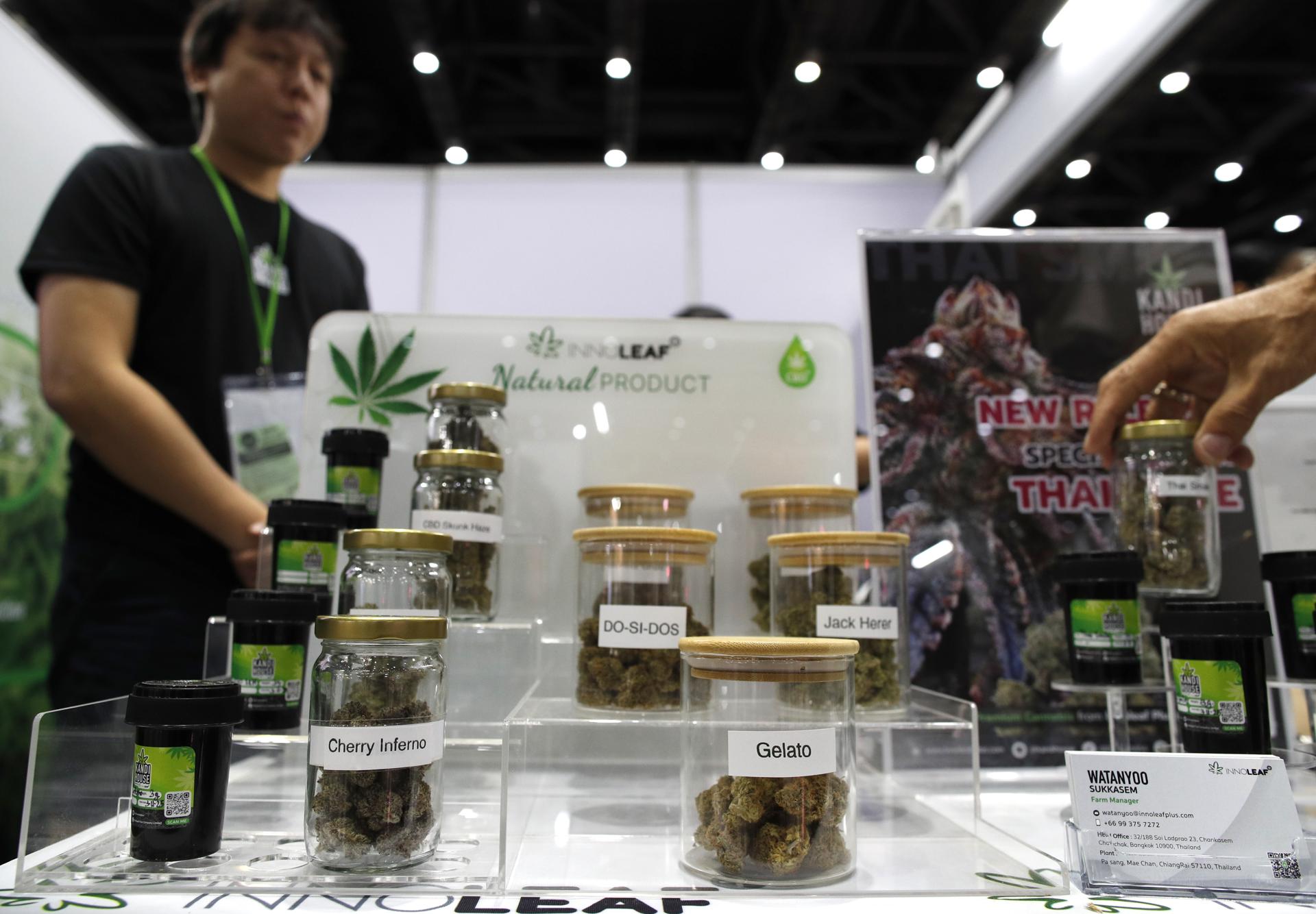 Cuenta regresiva en Bogotá: Invima define el futuro del cannabis medicinal en marzo