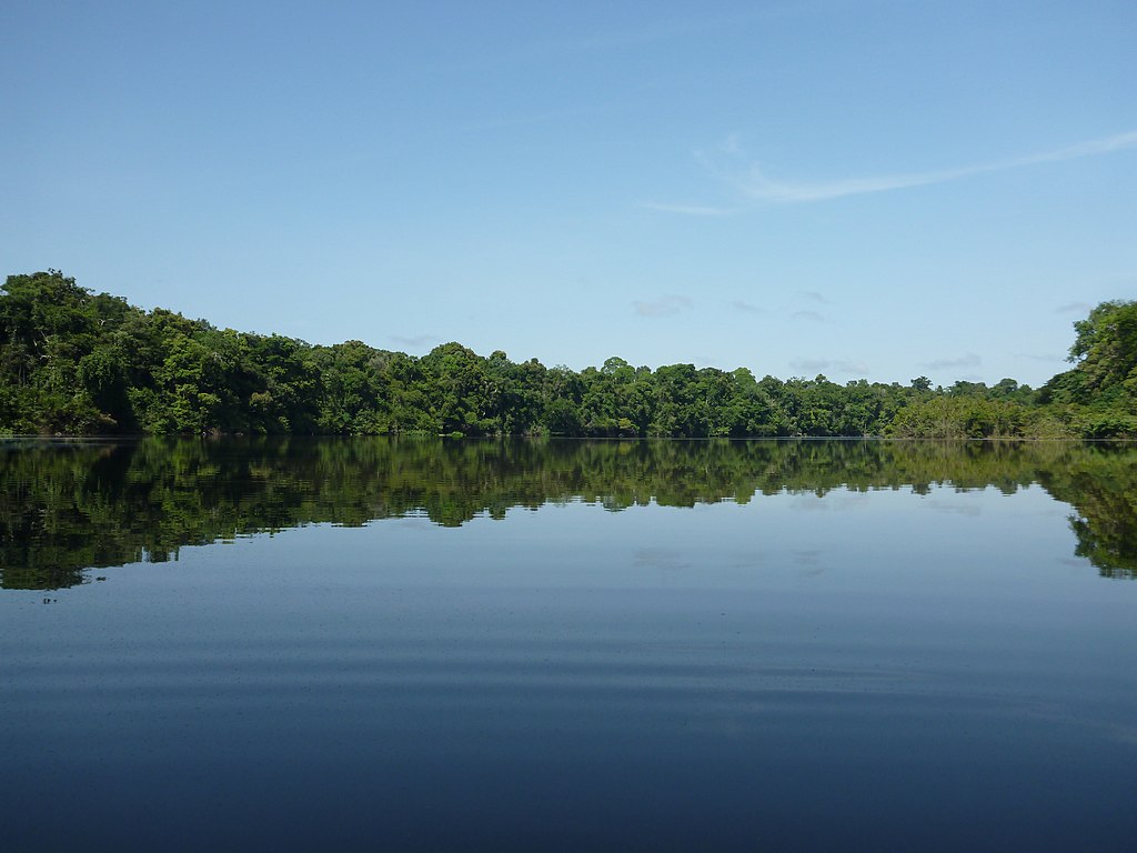 Biodiversidad, la historia de un fracaso