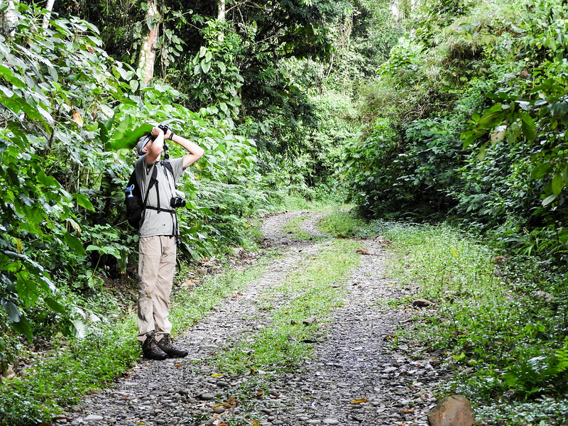 Destinos habilitados buscan mantener el flujo de viajeros tras el terremoto