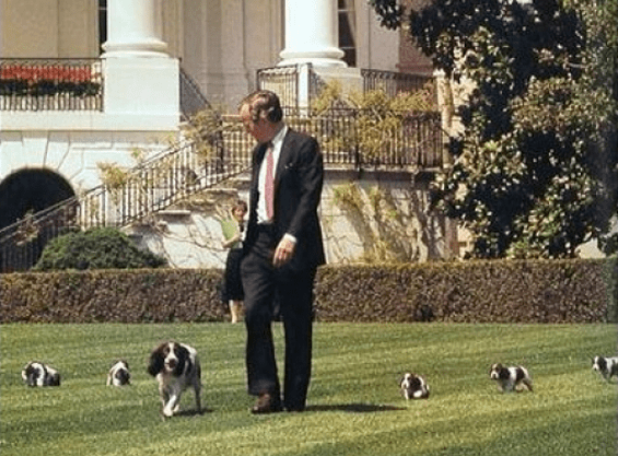 Mascotas en la Casa Blanca