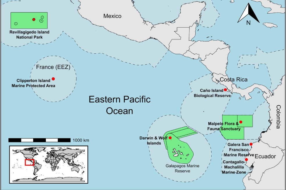 Estas son las áreas marinas donde se llevó a cabo el estudio.