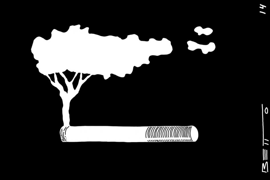 Deforestación