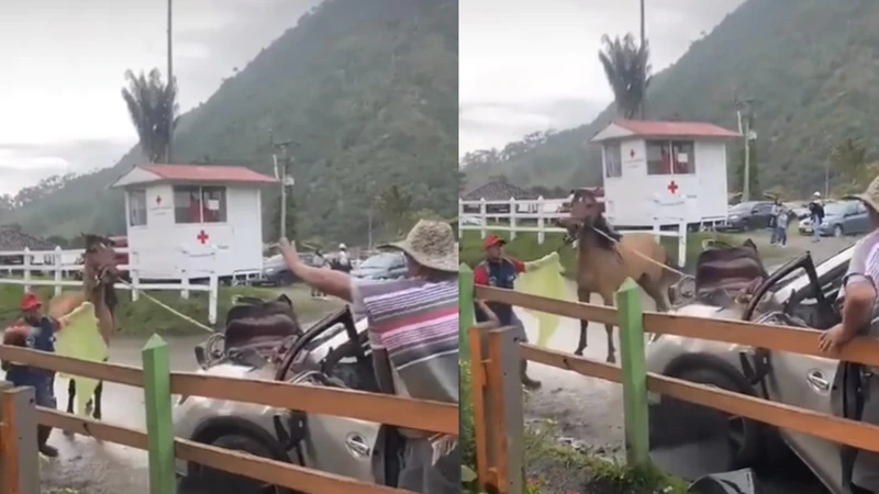 Tras episodio de estrés, caballo dañó el carro de un turista en Salento, Quindío