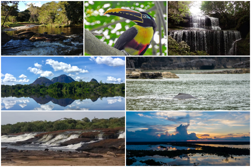 7 lugares para descubrir la riqueza natural de la Amazonía colombiana