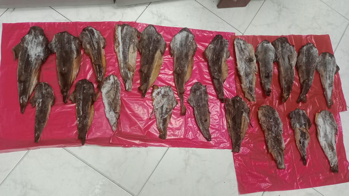 Incautaron carne de tiburón que era comercializada en un restaurante de Bogotá