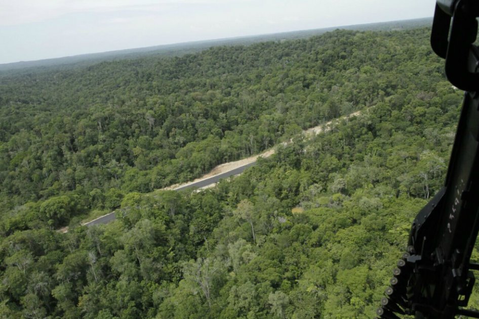 Gobierno admite aumento de cultivos ilícitos en zona de frontera con Venezuela