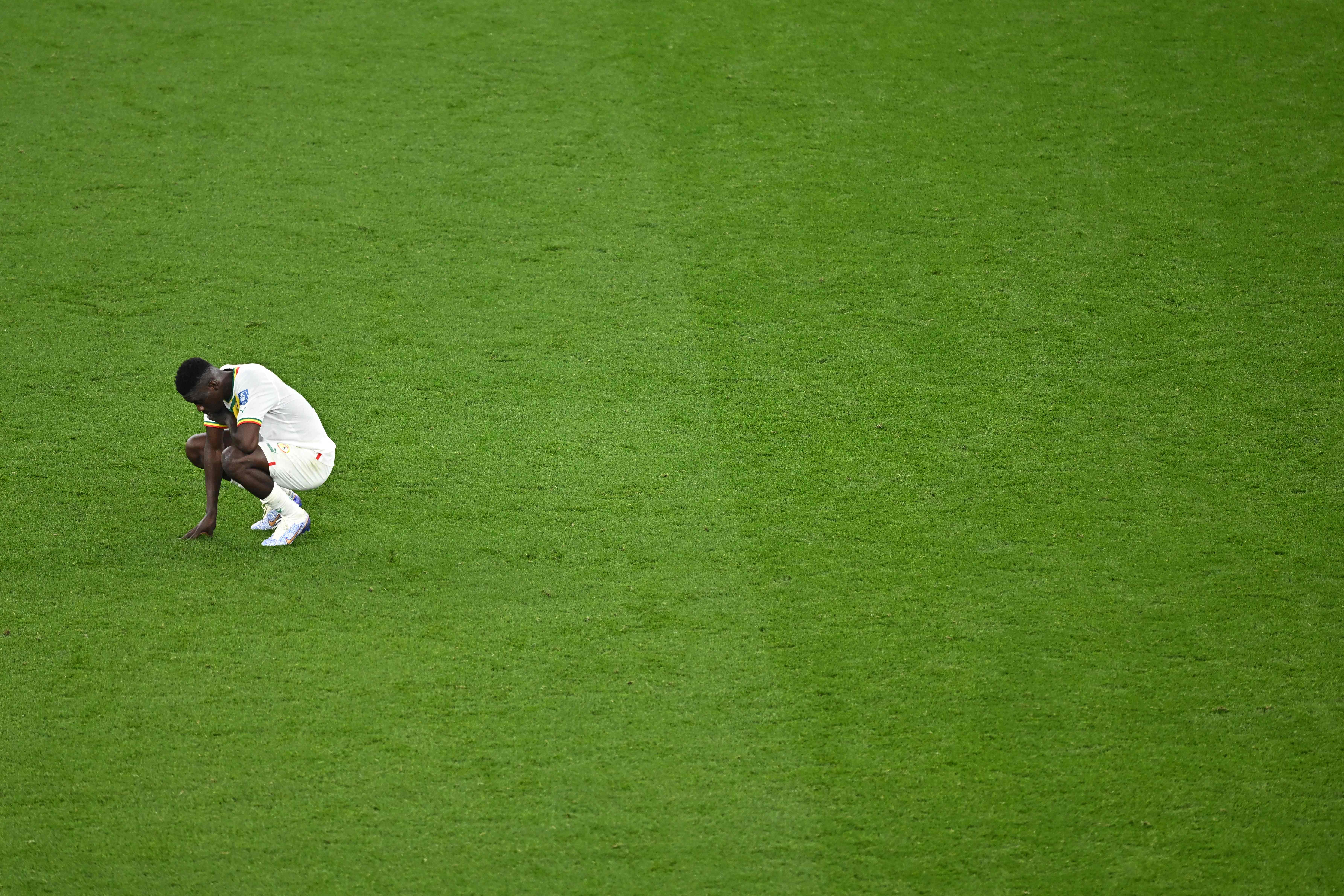 Países Bajos vs. Senegal, Mundial de Fútbol  Catar 2022