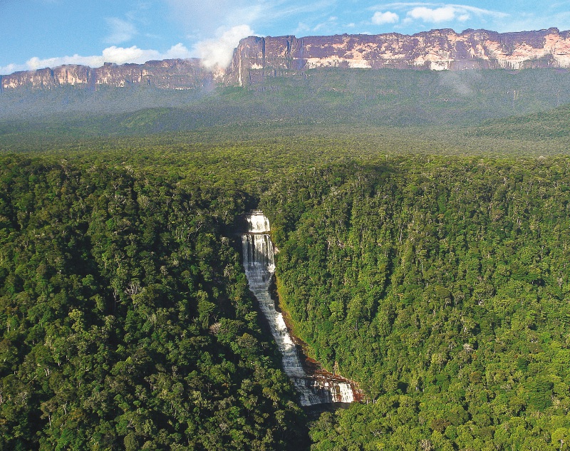 Las presiones detrás del desastre ambiental que vive la Amazonia