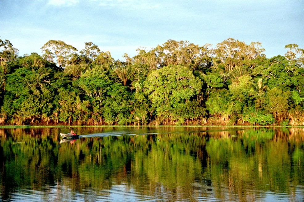 La Procuraduría pide frenar la deforestación en el Amazonas