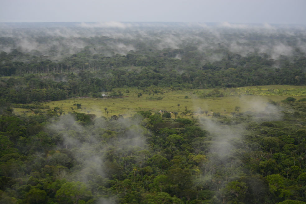 Hace un mes le otorgaron derechos a la Amazonía, ¿qué ha cambiado?