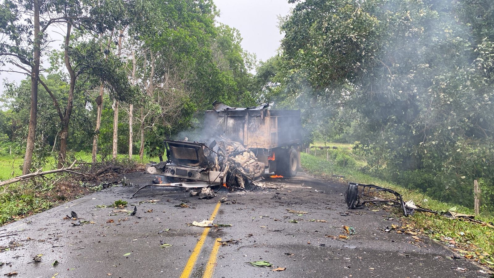 Fuerza Púrpura rechaza “manifestaciones terroristas” en Arauca y Sumapaz