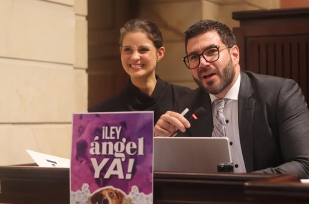 “Los animales merecen justicia”: claves para entender la Ley Ángel