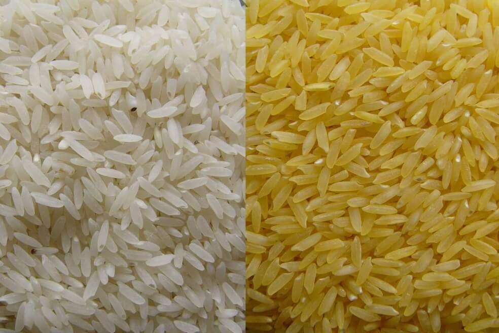 Organizaciones como Greenpeace aseguran que lo invertido en desarrollar este tipo de arroz pudo haberse invertido en sanear el hambre de millones de personas. / The golden rice project