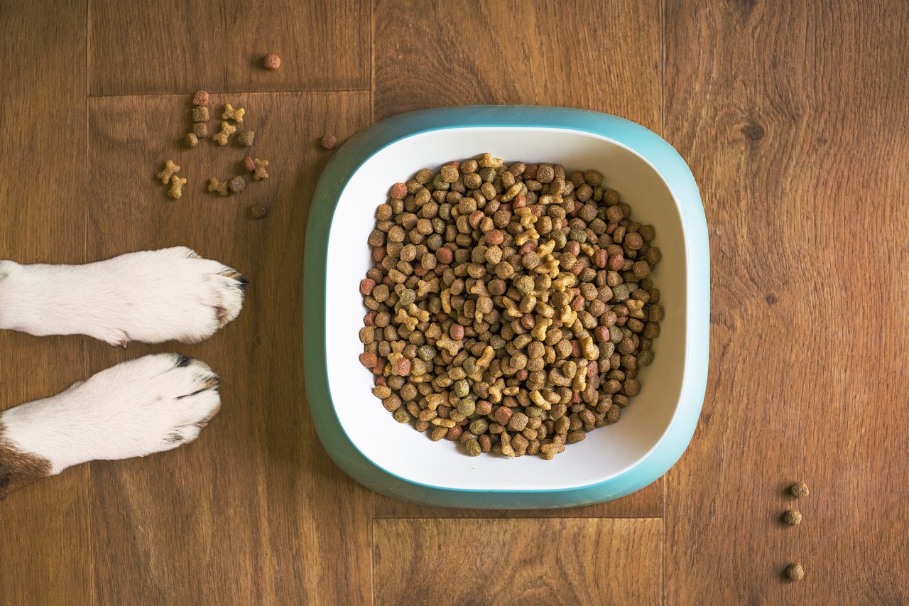 Comida para perros y gatos.