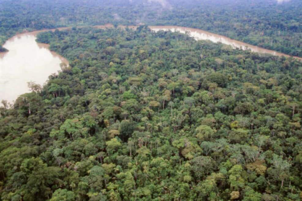 «Están ingresando personas desde Brasil”: comunidad indígena del Amazonas