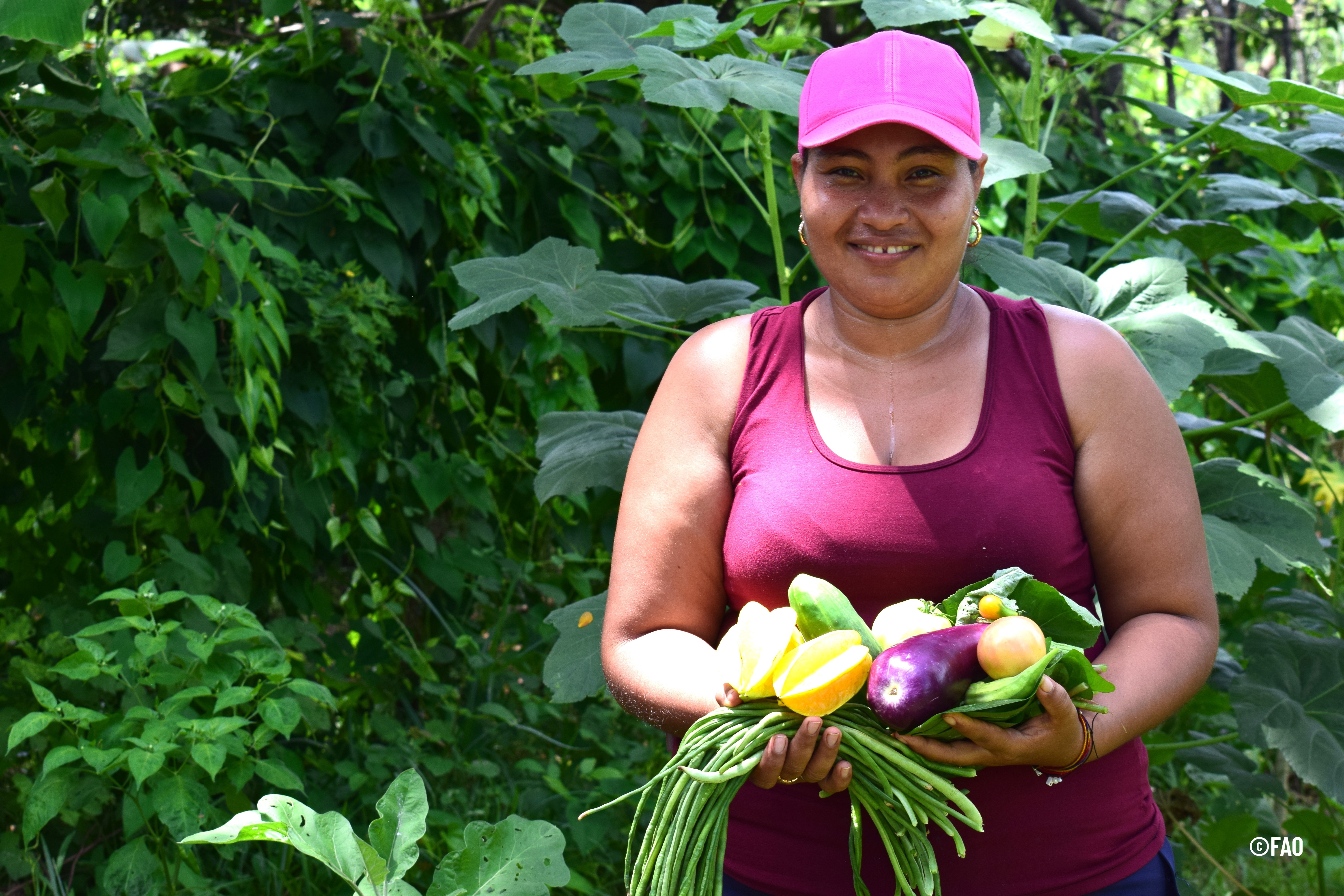 Transformando los sistemas alimentarios urbanos para erradicar el hambre en América Latina.