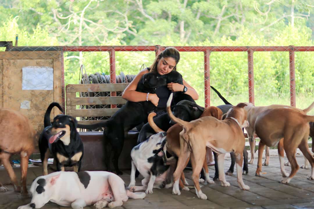 Más de 300 animales podrían quedar sin hogar por falta de dinero en Santander