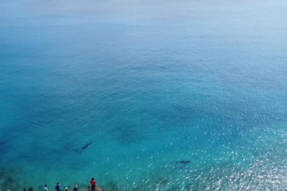 Fallo de La Haya: ¿Qué viene para la reserva SeaFlower en San Andrés?