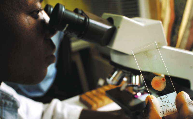 La OMS aprueba la primera vacuna contra la malaria. ¿Qué implicaciones tiene?