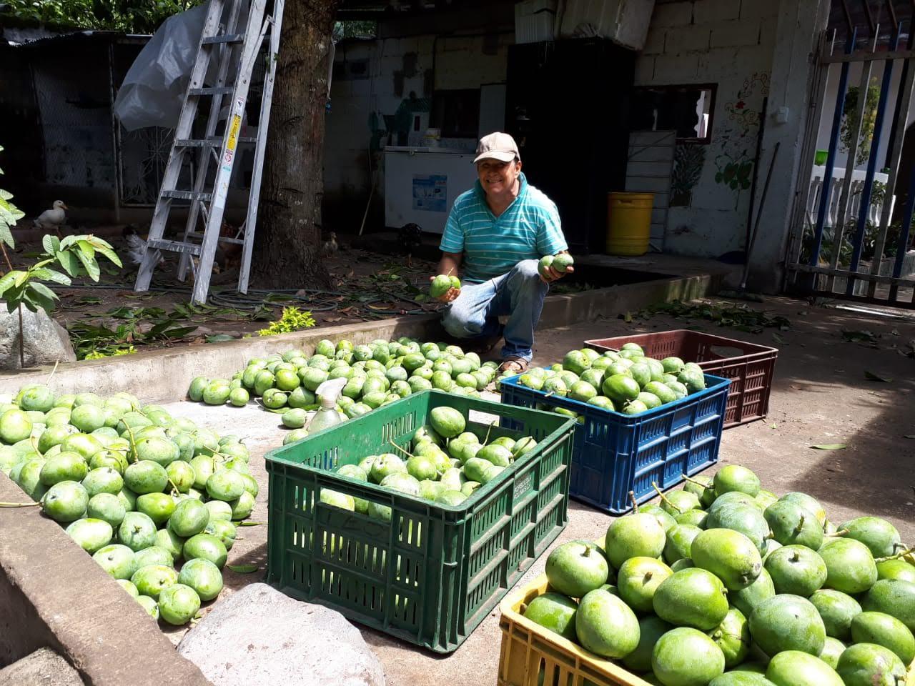Frutas Honda, Tolima