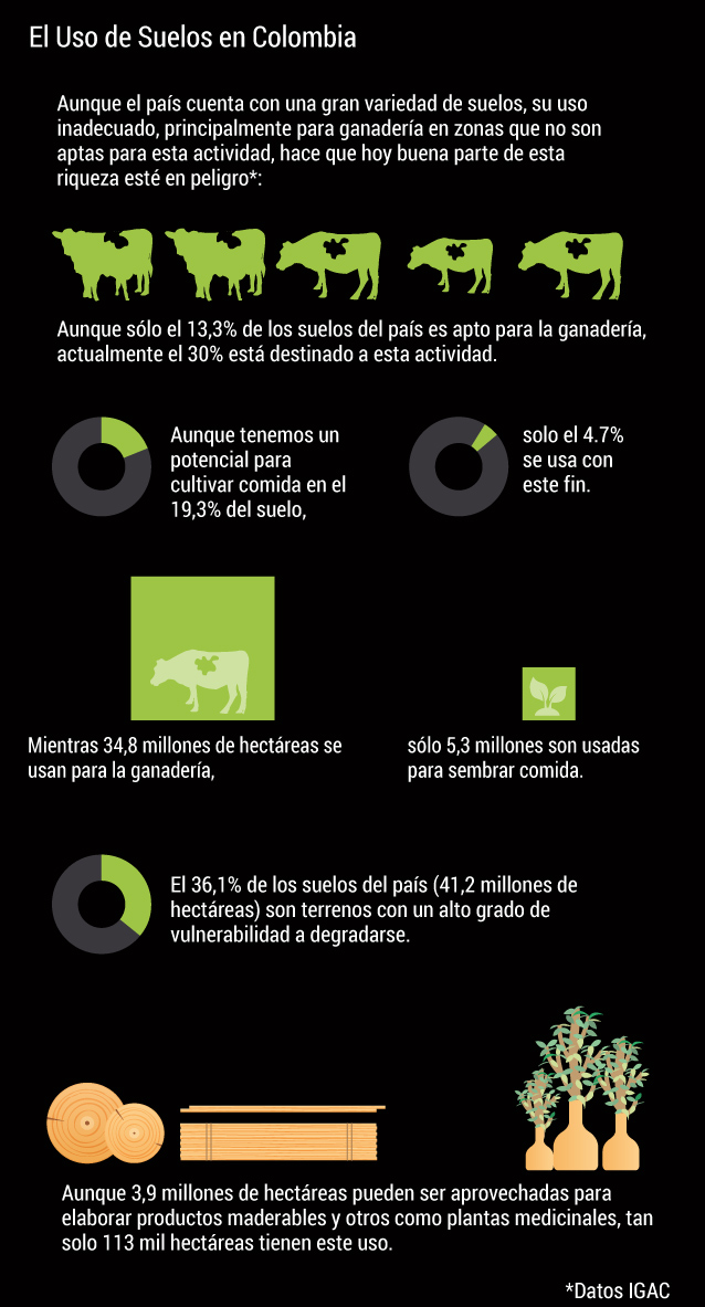 Día Mundial del Suelo 2020