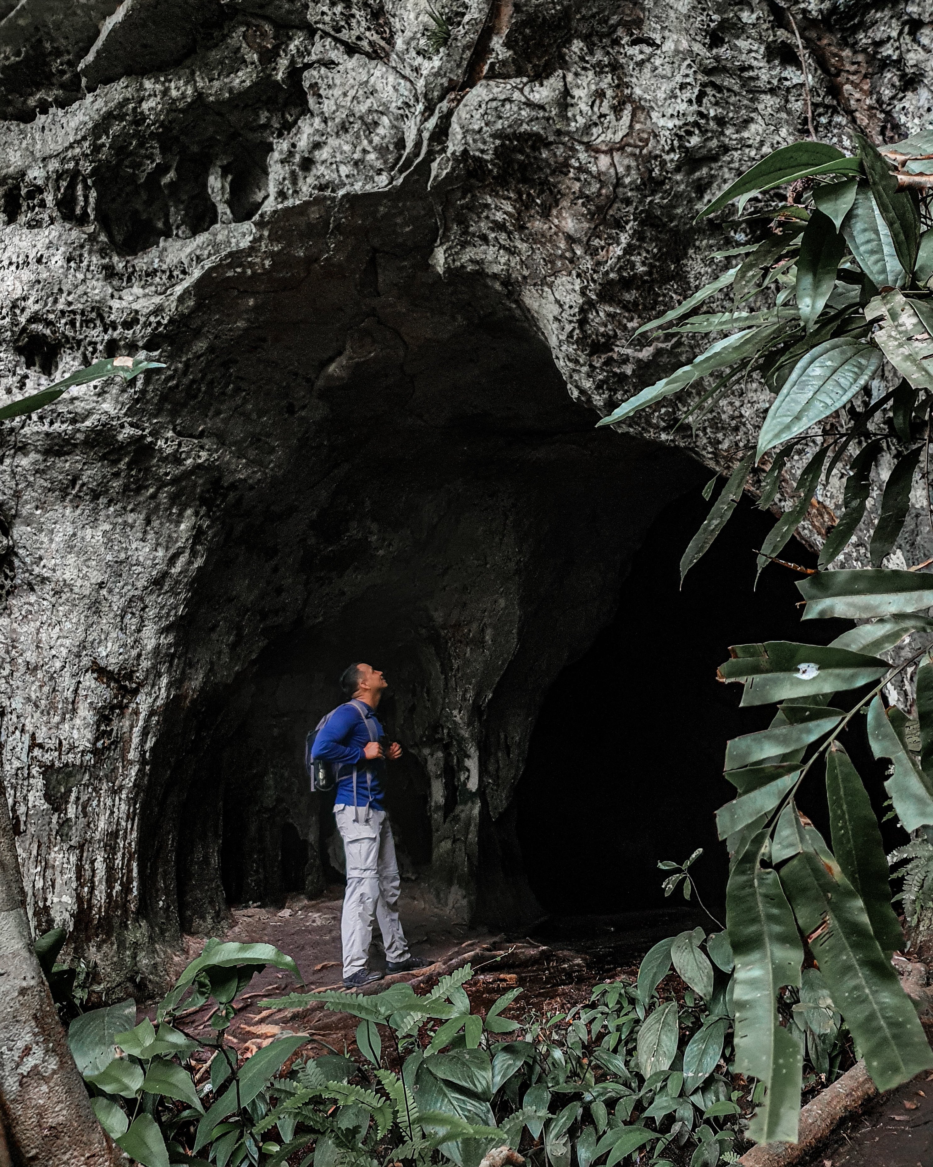 Guaviare, un recorrido con pasos de esperanza