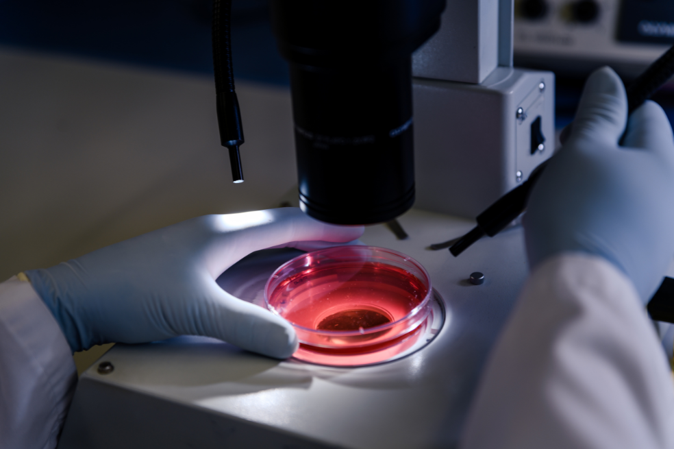 Se calcula que el 40% de los casos de leucemia se diagnostican de manera fortuita. Esto debes saber sobre esta enfermedad y su detección.