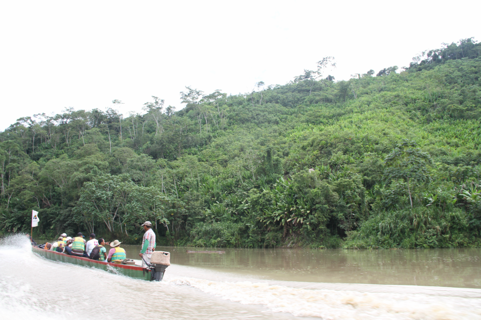 El retorno de los campesinos cuyo hogar es el Parque Nacional Paramillo
