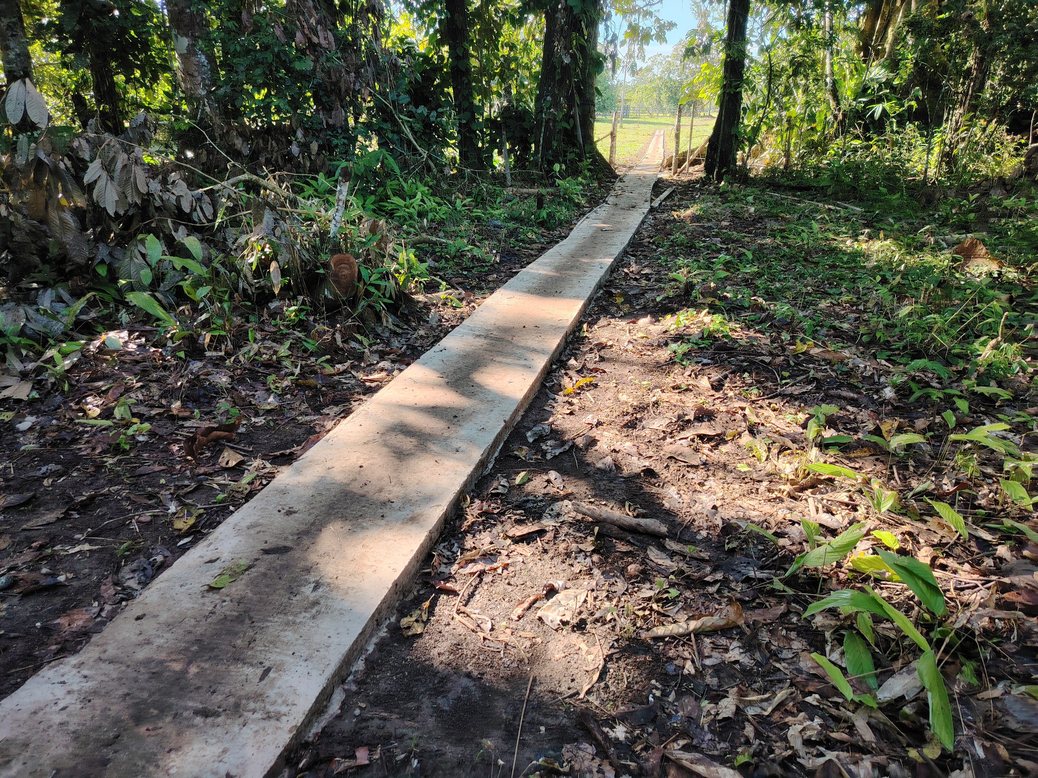 Estas son las "placa huellas" o emplaquetados que se están construyendo en medio de la Amazonia, como parte de las estrategias de control territorial de los Comandos de Frontera.