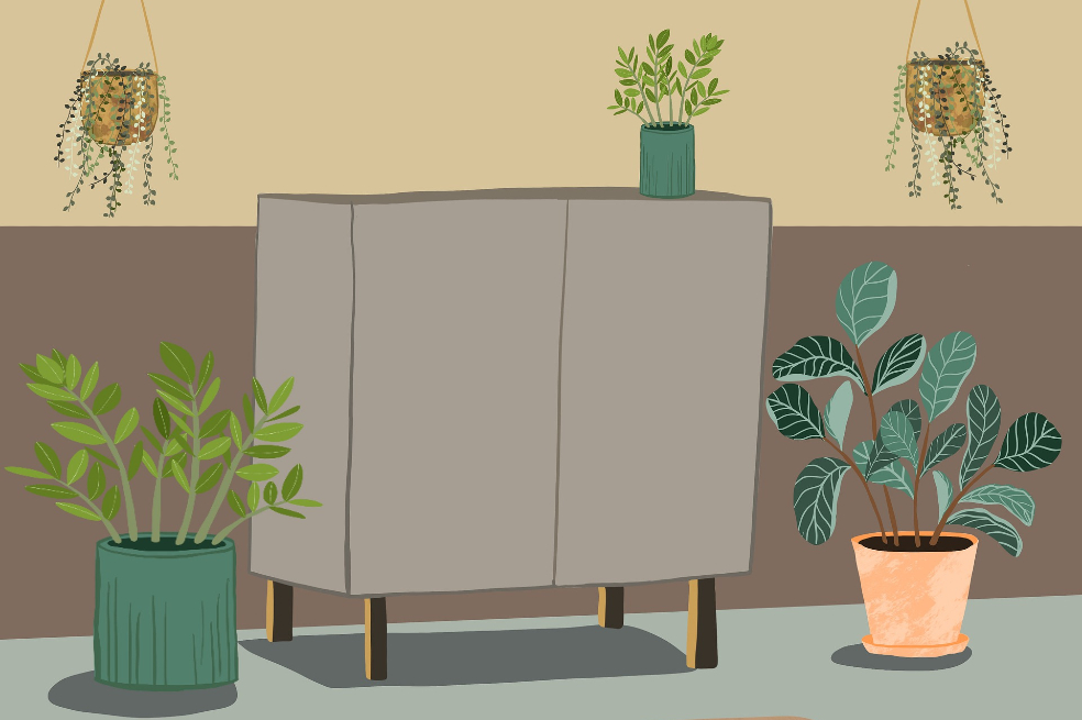 Ilustración que muestra una serie de plantas encima de un mueble en la sala de una casa.