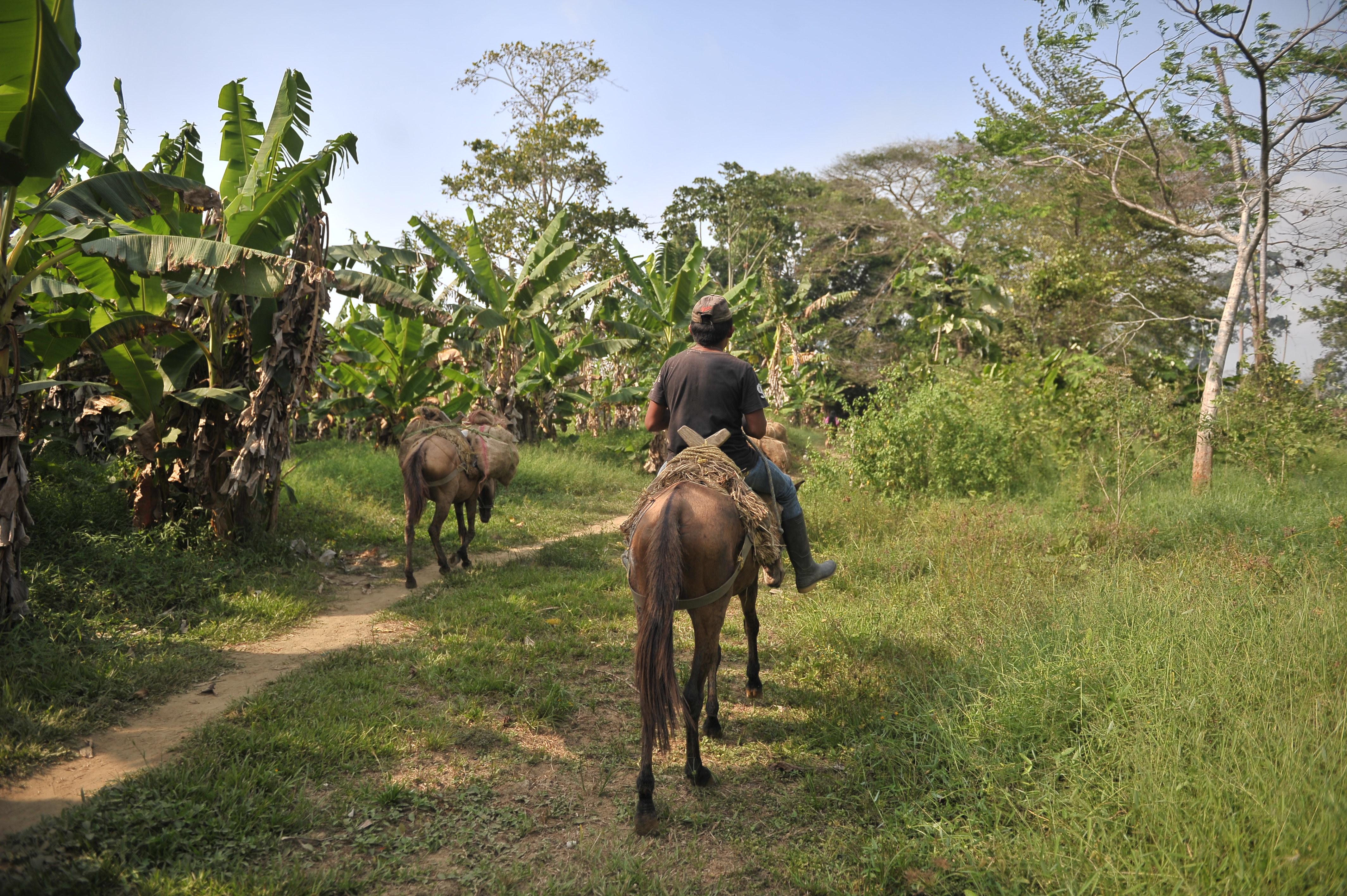 Traen “Work4Progress” a Colombia para incentivar el emprendimiento y el empleo
