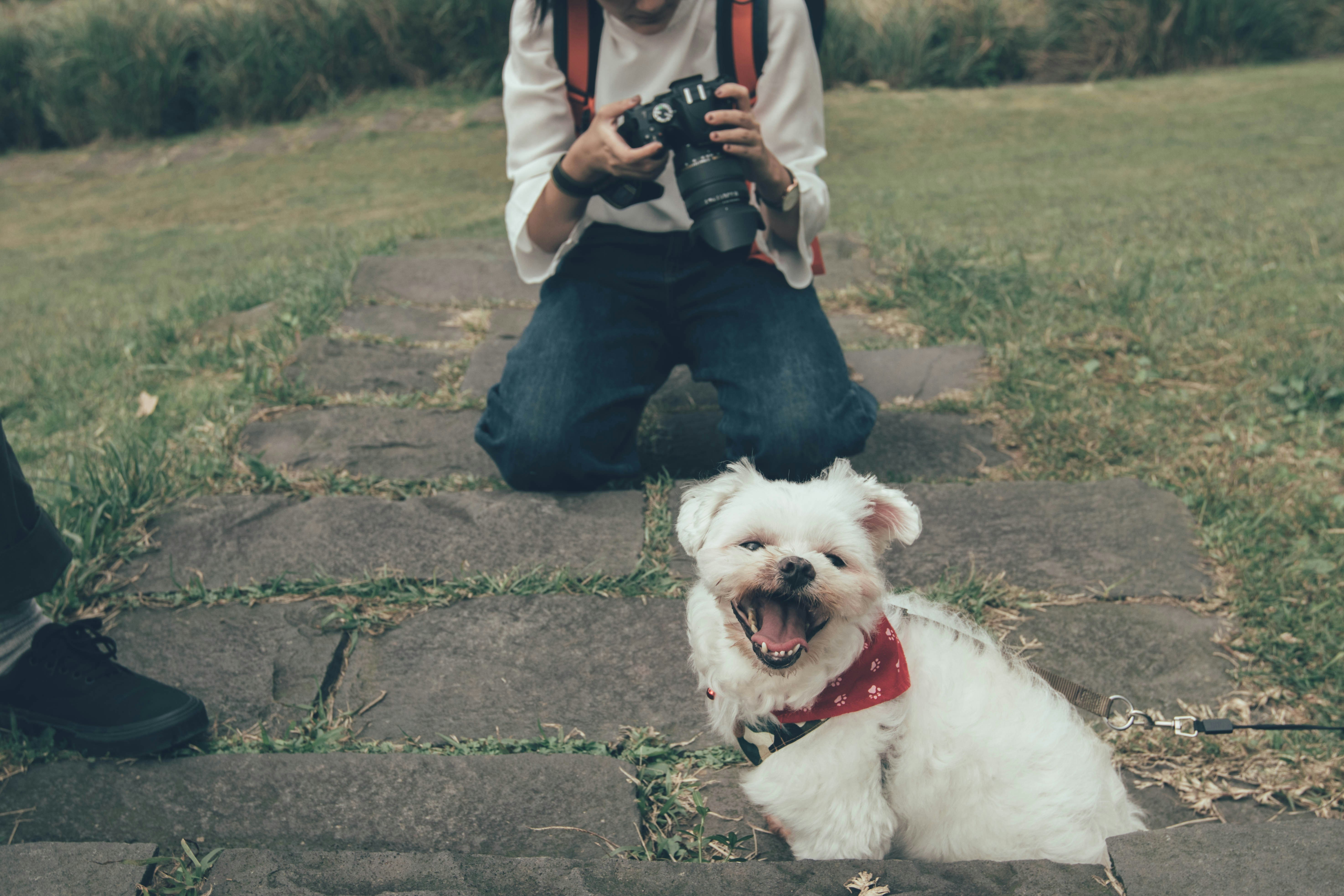 “Animales que acompañan”: una charla sobre los animales como fuente de inspiración